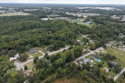 Land in Crystal River, Florida № 2391698 - photo 7