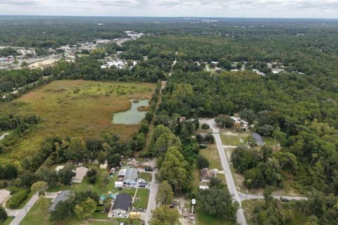Land in Crystal River, Florida № 2391698 - photo 10
