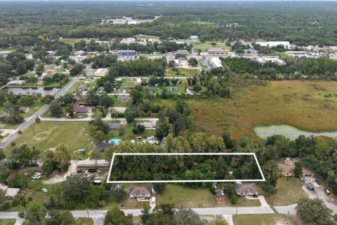 Land in Crystal River, Florida № 2391698 - photo 2