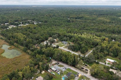 Land in Crystal River, Florida № 2391698 - photo 9