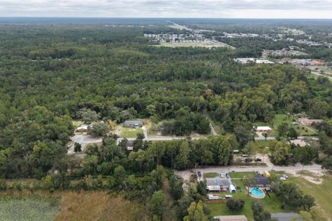 Land in Crystal River, Florida № 2391698 - photo 8