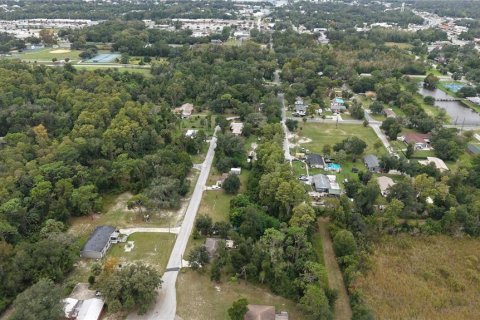 Land in Crystal River, Florida № 2391698 - photo 5