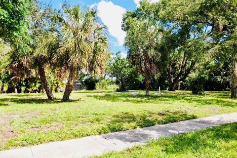 Terrain à vendre à Sarasota, Floride № 2419278 - photo 4
