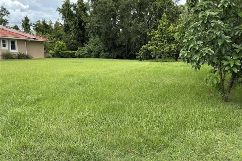 Land in Land O' Lakes, Florida № 1917342 - photo 1