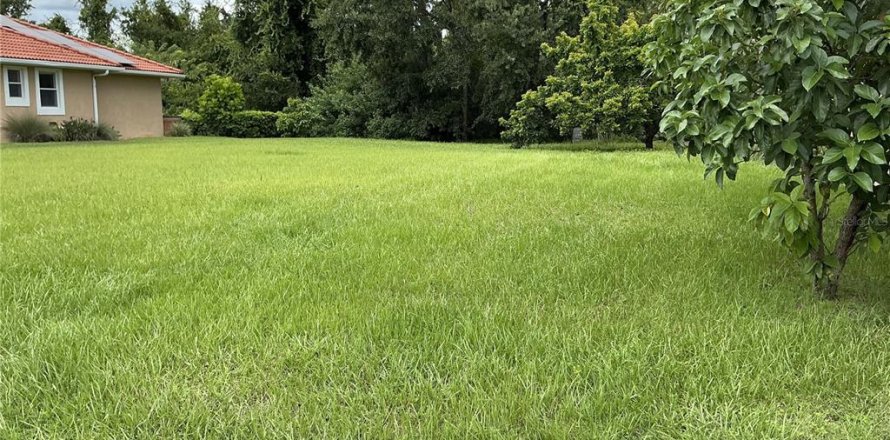 Land in Land O' Lakes, Florida № 1917342