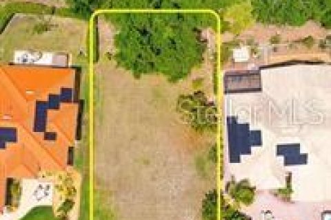Land in Land O' Lakes, Florida № 1917342 - photo 4