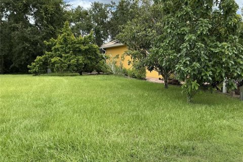 Land in Land O' Lakes, Florida № 1917342 - photo 3