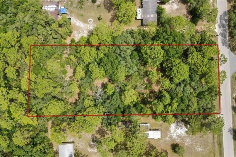 Terreno en venta en Homosassa, Florida № 1798598 - foto 4