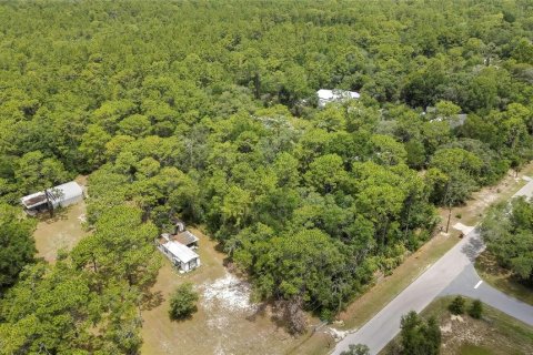 Terreno en venta en Homosassa, Florida № 1798598 - foto 2