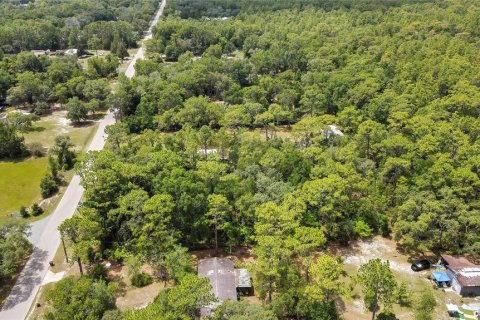 Terreno en venta en Homosassa, Florida № 1798598 - foto 8
