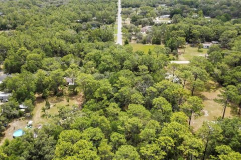Terreno en venta en Homosassa, Florida № 1798598 - foto 6