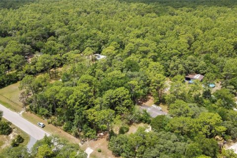 Terreno en venta en Homosassa, Florida № 1798598 - foto 9