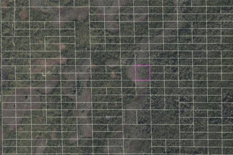 Купить земельный участок в Орландо, Флорида № 1765470 - фото 3