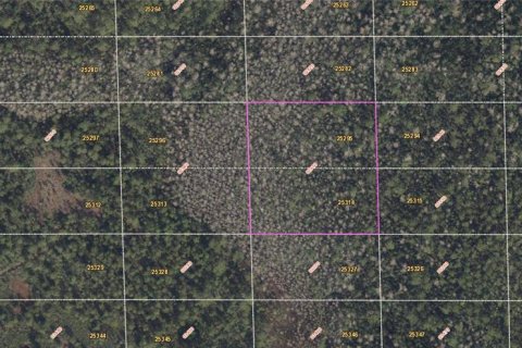 Купить земельный участок в Орландо, Флорида № 1765470 - фото 2