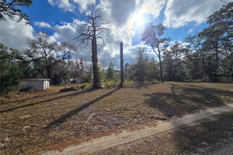 Land in Crystal River, Florida № 2142571 - photo 18