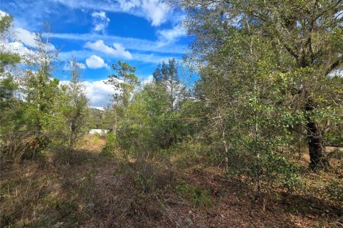 Land in Crystal River, Florida № 2142571 - photo 11