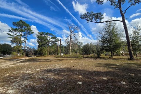 Land in Crystal River, Florida № 2142571 - photo 20