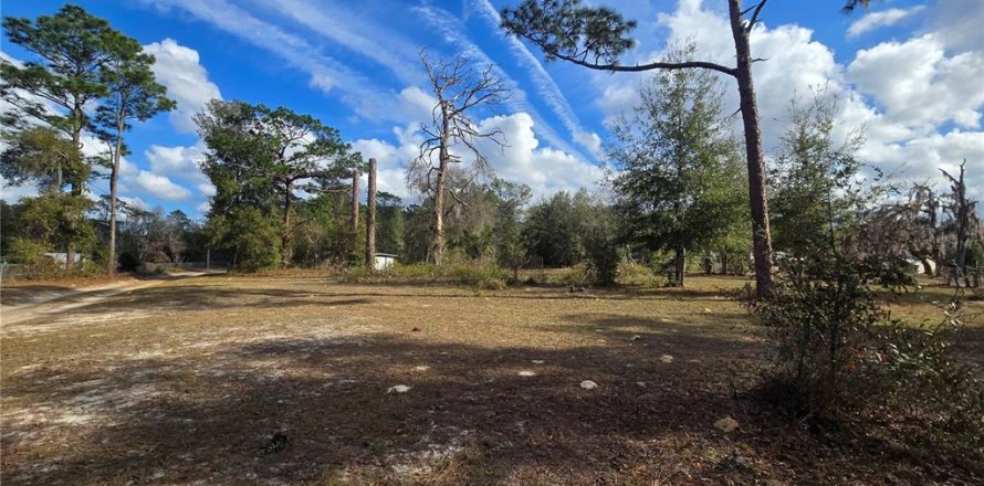 Land in Crystal River, Florida № 2142571