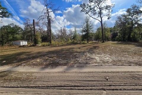 Land in Crystal River, Florida № 2142571 - photo 2