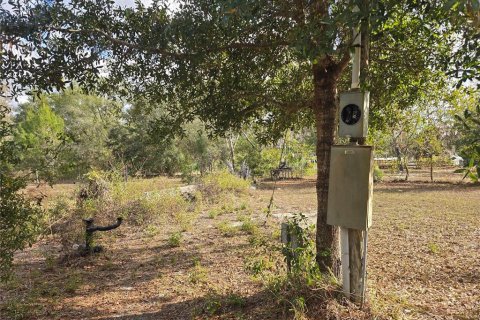 Land in Crystal River, Florida № 2142571 - photo 4