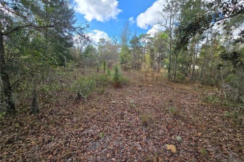 Land in Crystal River, Florida № 2142571 - photo 15
