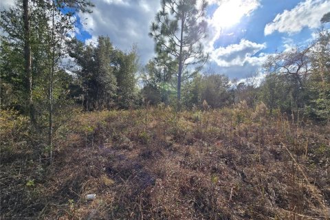 Land in Crystal River, Florida № 2142571 - photo 13