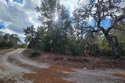 Land in Crystal River, Florida № 2142571 - photo 14