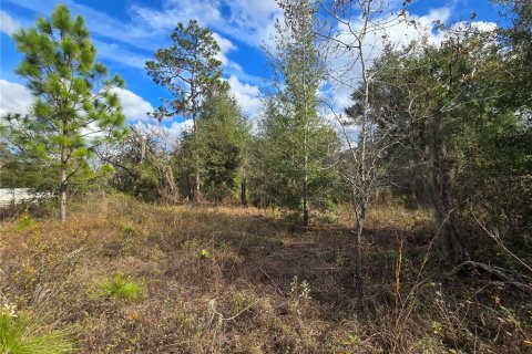 Land in Crystal River, Florida № 2142571 - photo 9