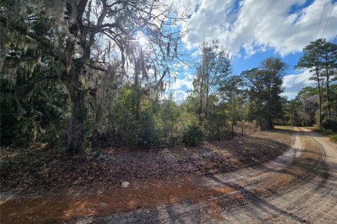Land in Crystal River, Florida № 2142571 - photo 19