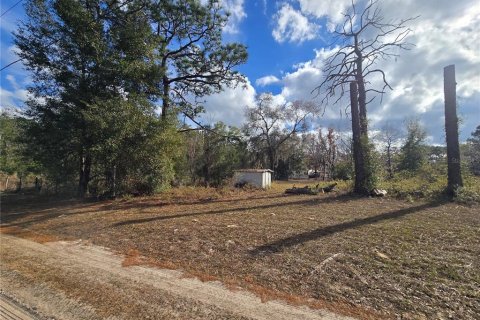 Land in Crystal River, Florida № 2142571 - photo 17