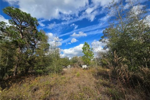 Land in Crystal River, Florida № 2142571 - photo 10