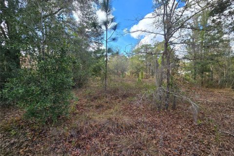 Land in Crystal River, Florida № 2142571 - photo 16