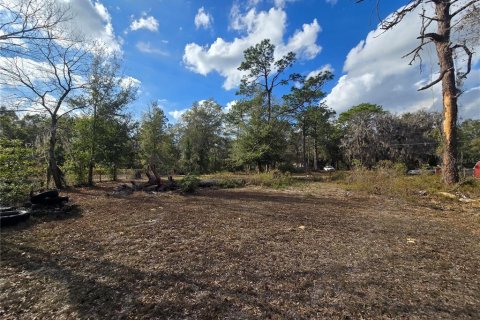 Land in Crystal River, Florida № 2142571 - photo 12