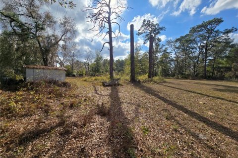 Land in Crystal River, Florida № 2142571 - photo 3