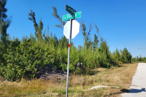 Land in Port Charlotte, Florida № 2213928 - photo 14