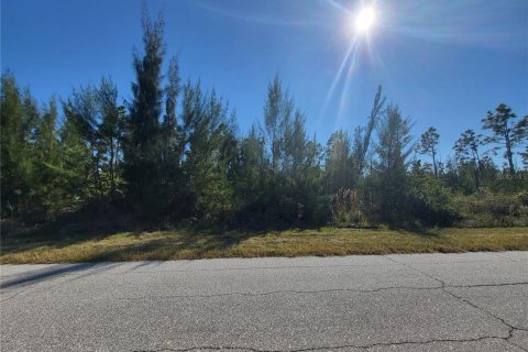 Land in Port Charlotte, Florida № 2213928 - photo 9