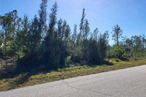 Land in Port Charlotte, Florida № 2213928 - photo 8
