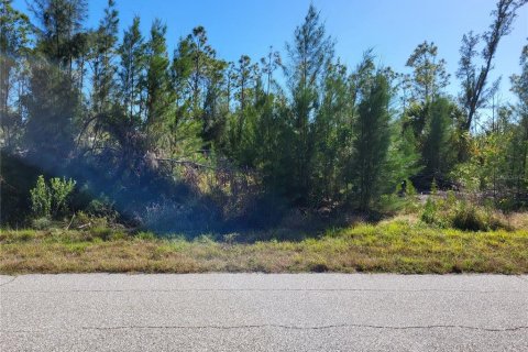 Land in Port Charlotte, Florida № 2213928 - photo 10