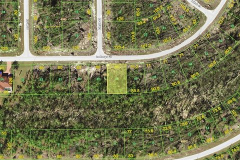 Land in Port Charlotte, Florida № 2213928 - photo 2
