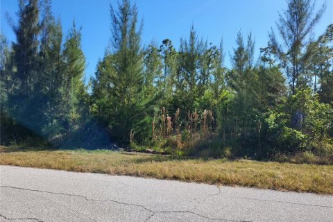 Land in Port Charlotte, Florida № 2213928 - photo 11
