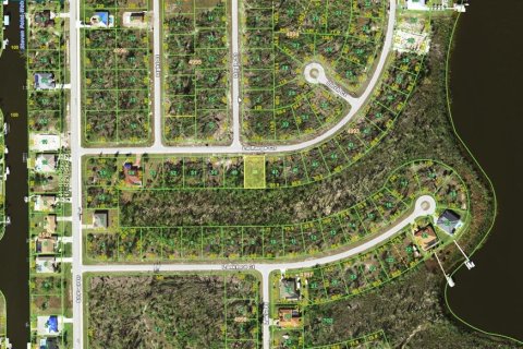 Land in Port Charlotte, Florida № 2213928 - photo 3