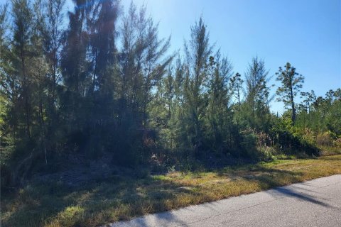 Land in Port Charlotte, Florida № 2213928 - photo 7