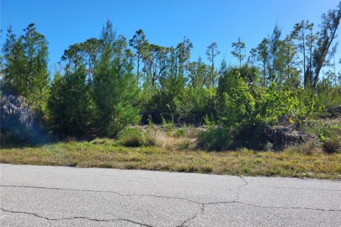 Land in Port Charlotte, Florida № 2213928 - photo 12