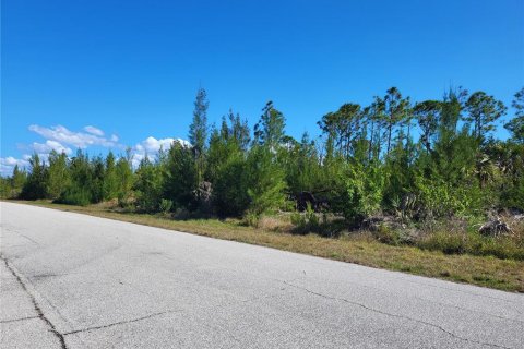 Land in Port Charlotte, Florida № 2213928 - photo 13