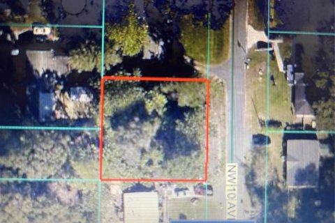 Land in Ocala, Florida № 2163050 - photo 3
