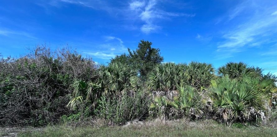 Terrain à North Port, Floride № 2218516