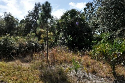 Land in North Port, Florida № 2161114