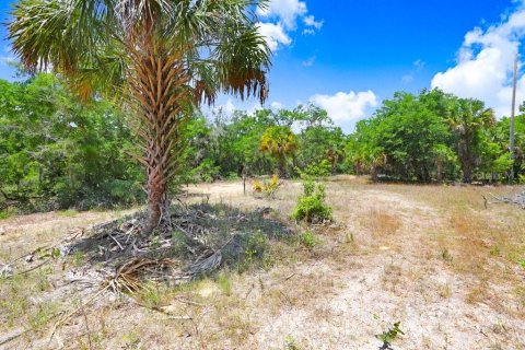 Terreno en venta en Crystal River, Florida № 1169349 - foto 19