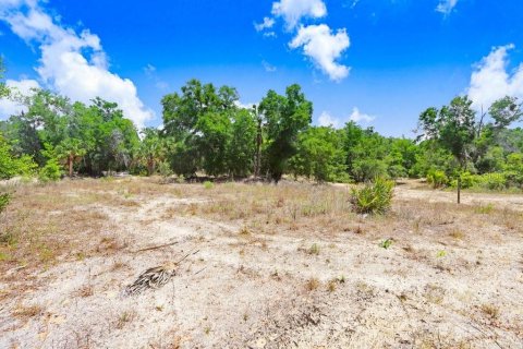 Terreno en venta en Crystal River, Florida № 1169349 - foto 21
