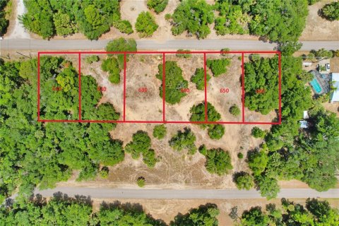 Terreno en venta en Crystal River, Florida № 1169349 - foto 1